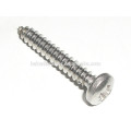 DIN7981 philips pan head self tapping screw, pan head screw from Chinese munufacture